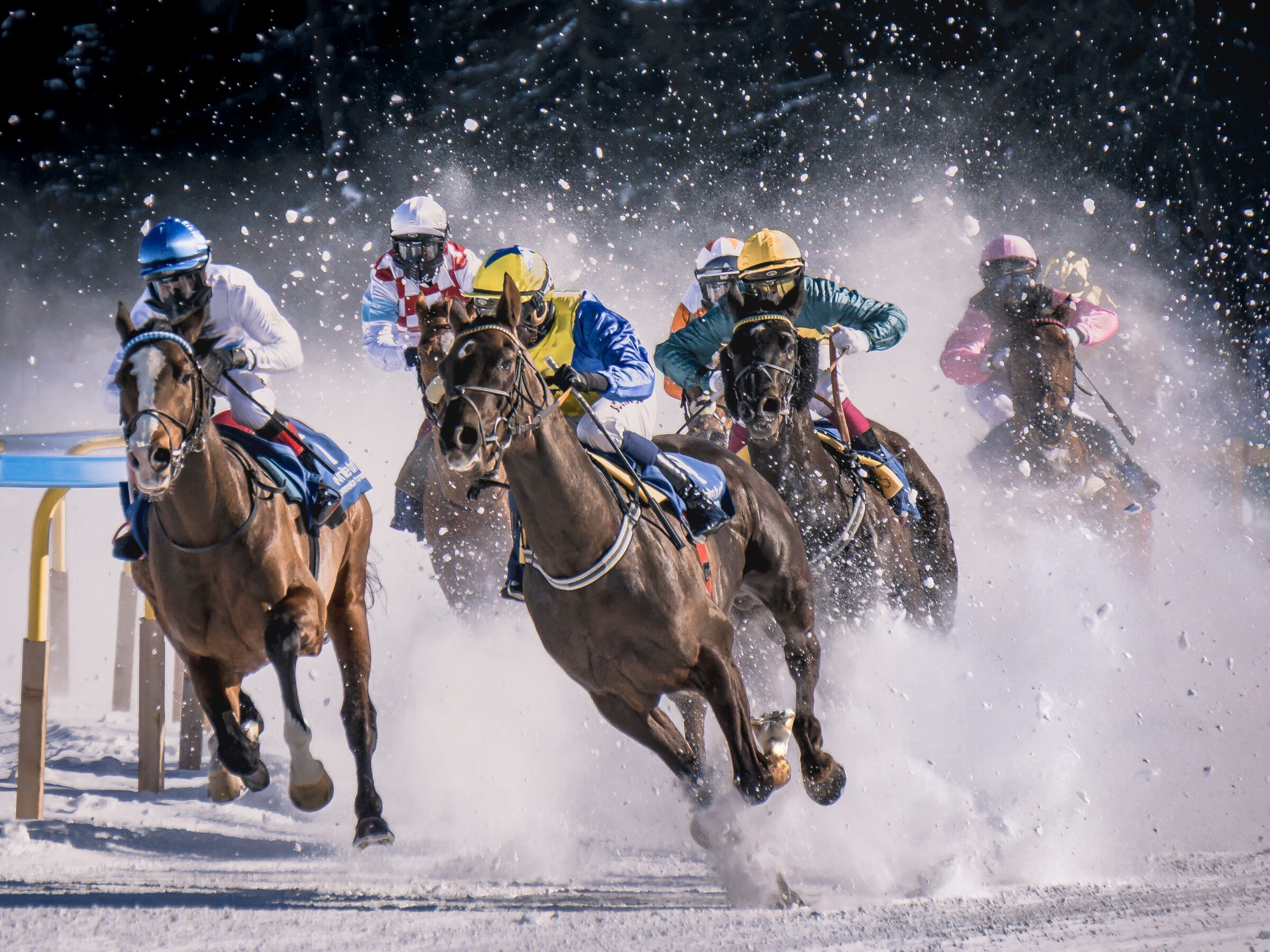 horse-racing-odds