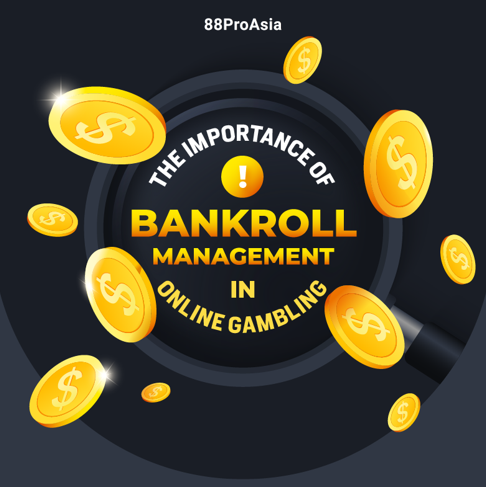 The-Importance-of Bankroll-Management-in-Online-Gambling-awdnasjd214152