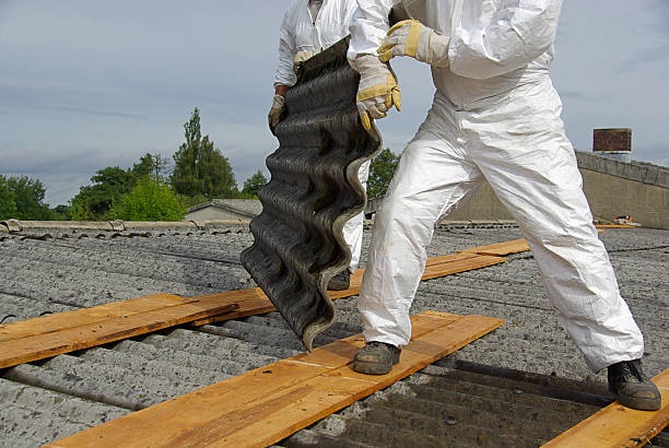 A-Comprehensive-Guide-About-Asbestos-Removal -awkdna12312
